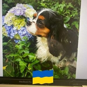 Meet your Posher, Katrina